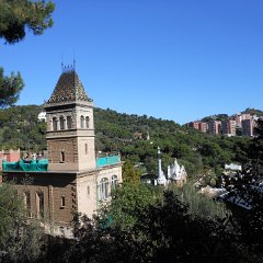IMG 142